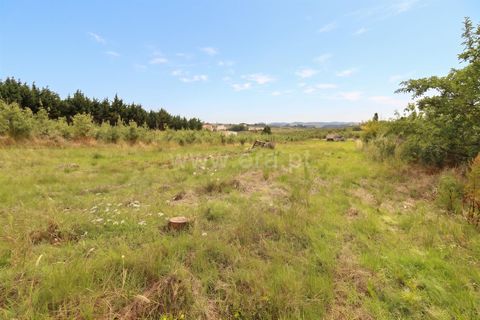 Helårsgrund i Bombarral, Leiria, Bombarral - € 52.500 | Ref: 295260057 - foto 4