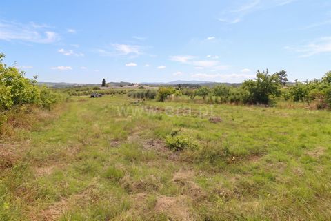 Helårsgrund i Bombarral, Leiria, Bombarral - € 52.500 | Ref: 295260057 - foto 5