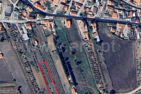Helårsgrund i Bombarral, Leiria, Bombarral - € 52.500 | Ref: 295260057 - foto 8