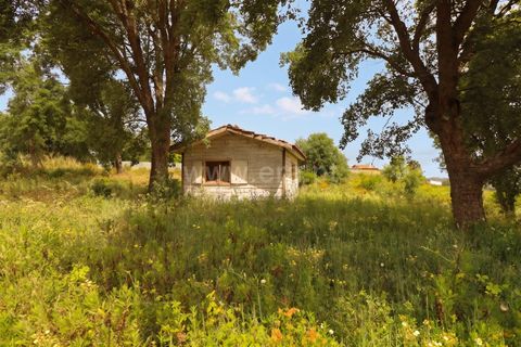 Helårsgrund i Cadaval, Lisbon, Cadaval - € 52.500 | Ref: 295260058 - foto 1