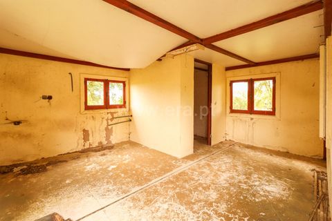 Helårsgrund i Cadaval, Lisbon, Cadaval - € 52.500 | Ref: 295260058 - foto 3