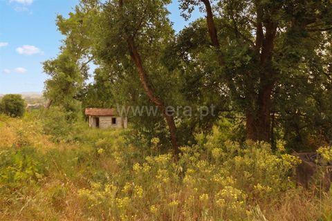 Helårsgrund i Cadaval, Lisbon, Cadaval - € 52.500 | Ref: 295260058 - foto 9