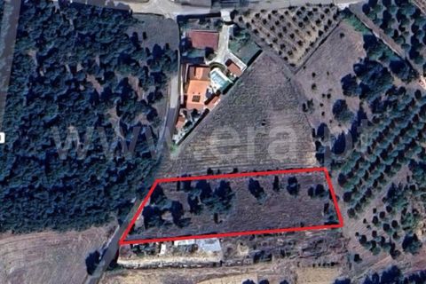 Helårsgrund i Cadaval, Lisbon, Cadaval - € 52.500 | Ref: 295260058 - foto 12