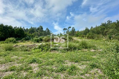 Helårsgrund i Moncao, Viana do Castelo, Moncao - € 57.000 | Ref: DSIMONC711 - foto 12