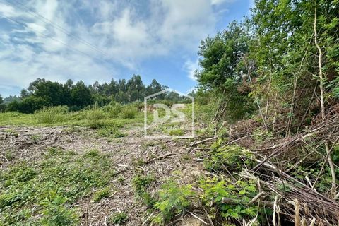 Helårsgrund i Moncao, Viana do Castelo, Moncao - € 57.000 | Ref: DSIMONC711 - foto 17