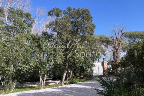 Villa i Perpignan, Pyrenees-Orientales, Perpignan - € 875.000 | Ref: VH1128A - foto 29