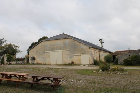 Farm i Jonzac, Charente-Maritime, Jonzac - € 2.300.000 | Ref: AB508278FE094CB1 - foto 6