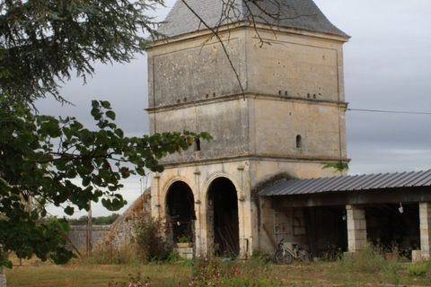 Farm i Jonzac, Charente-Maritime, Jonzac - € 2.300.000 | Ref: AB508278FE094CB1 - foto 8