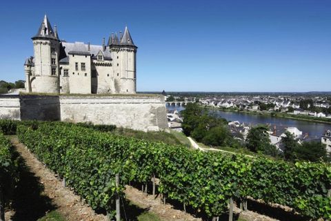 Erhvervsejendom i Saumur, Maine-et-Loire, Saumur - € 45.000 | Ref: 336AE990614A4506 - foto 14