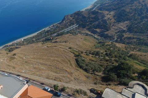 Terra a Forza d'Agro, Messina, Forza d'Agro - € 600.000 | Ref: 55032 - foto 5