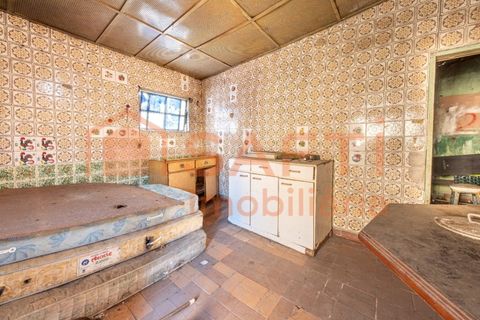 Bungalow i Serzedelo, Braga, Serzedelo - € 160.000 | Ref: SAFTI:008329 - foto 39