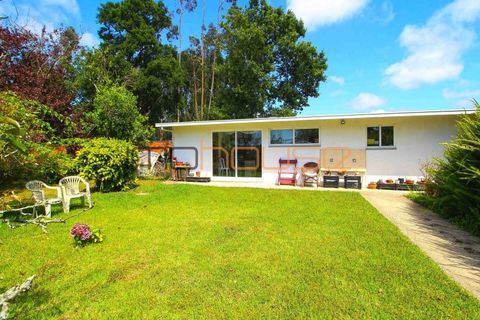 Villa i Cortegaca, Aveiro, Cortegaca - € 750.000 | Ref: 00668FR - foto 43