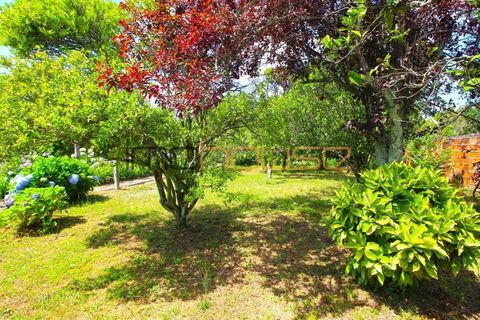 Villa i Cortegaca, Aveiro, Cortegaca - € 750.000 | Ref: 00668FR - foto 47