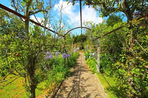 Villa i Cortegaca, Aveiro, Cortegaca - € 750.000 | Ref: 00668FR - foto 49