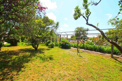 Villa i Cortegaca, Aveiro, Cortegaca - € 750.000 | Ref: 00668FR - foto 50