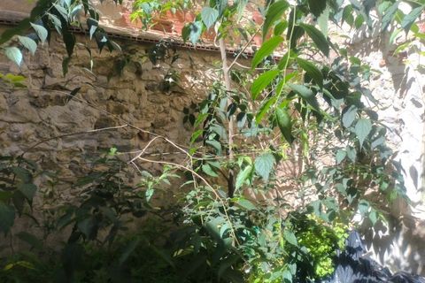 Villa i Sax, Alicante, Sax - € 73.000 | Ref: CAS_1647 - foto 30