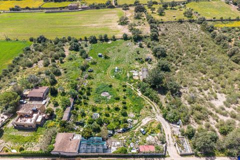 Landejendom i Llucmajor, Mallorca, Llucmajor - € 210.000 | Ref: 13ARYR051/3010 - foto 8