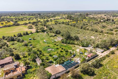Landejendom i Llucmajor, Mallorca, Llucmajor - € 210.000 | Ref: 13ARYR051/3010 - foto 13