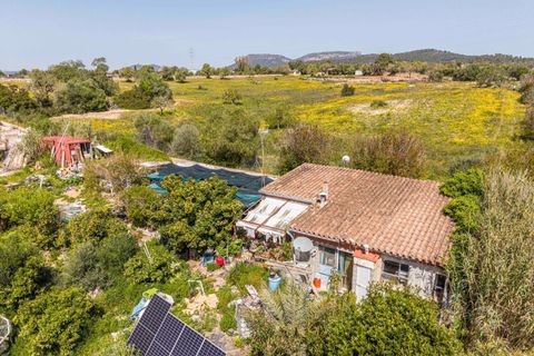 Landejendom i Llucmajor, Mallorca, Llucmajor - € 210.000 | Ref: 13ARYR051/3010 - foto 21