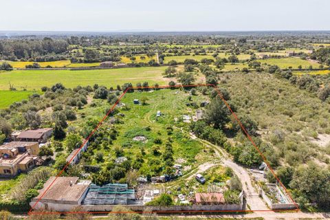 Landejendom i Llucmajor, Mallorca, Llucmajor - € 210.000 | Ref: 13ARYR051/3010 - foto 24