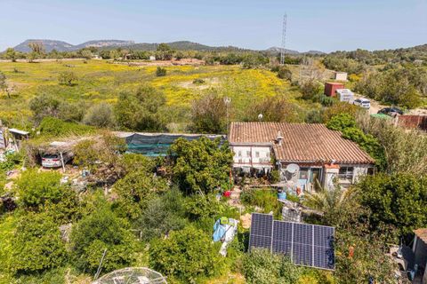 Landejendom i Llucmajor, Mallorca, Llucmajor - € 210.000 | Ref: 13ARYR051/3010 - foto 26