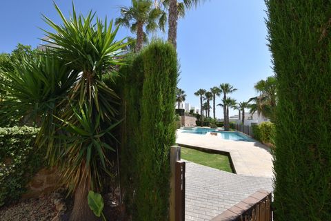 Apartamento en Algorfa, Alicante, Algorfa - € 235.000 | Ref: AG19MLSC8361874 - photo 41