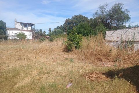 Landejendom i Gibraleon, Huelva, Gibraleon - € 145.100 | Ref: 14216-MLZ/2912 - foto 2