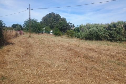 Landejendom i Gibraleon, Huelva, Gibraleon - € 145.100 | Ref: 14216-MLZ/2912 - foto 3