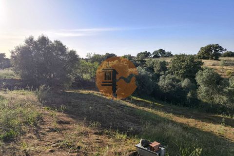 Helårsgrund i Castro Marim, Faro, Castro Marim - € 200.000 | Ref: SU-CS-TU-94596 - foto 8