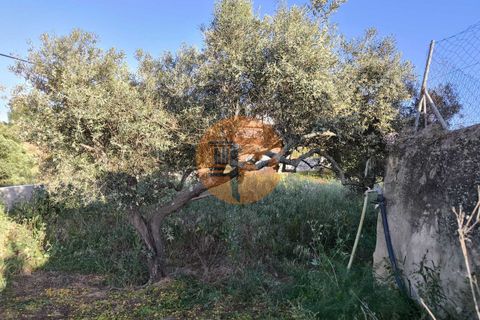 Helårsgrund i Castro Marim, Faro, Castro Marim - € 200.000 | Ref: SU-CS-TU-94596 - foto 15