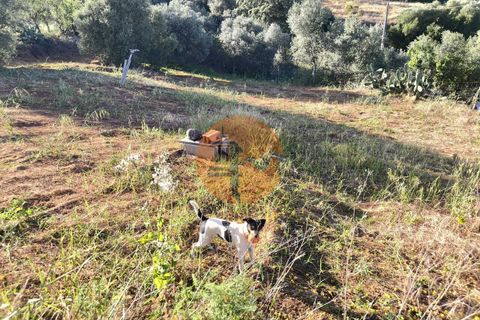 Helårsgrund i Castro Marim, Faro, Castro Marim - € 200.000 | Ref: SU-CS-TU-94596 - foto 23