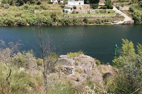 Helårsgrund i Cinfaes, Viseu, Cinfaes - € 260.000 | Ref: 927437 - foto 5