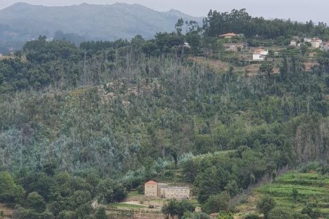 Helårsgrund i Cinfaes, Viseu, Cinfaes - € 260.000 | Ref: 927437 - foto 15