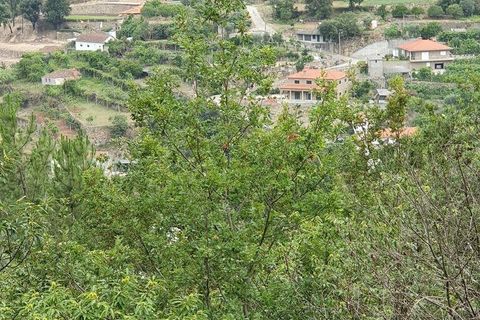 Helårsgrund i Cinfaes, Viseu, Cinfaes - € 260.000 | Ref: 927437 - foto 16