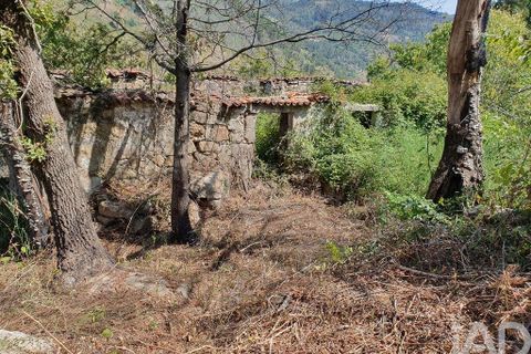 Helårsgrund i Cinfaes, Viseu, Cinfaes - € 260.000 | Ref: 927437 - foto 22