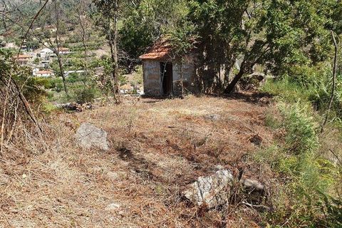 Helårsgrund i Cinfaes, Viseu, Cinfaes - € 260.000 | Ref: 927437 - foto 23