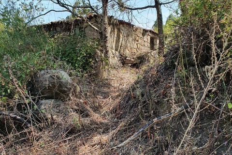 Helårsgrund i Cinfaes, Viseu, Cinfaes - € 260.000 | Ref: 927437 - foto 24