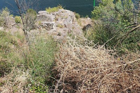 Helårsgrund i Cinfaes, Viseu, Cinfaes - € 260.000 | Ref: 927437 - foto 27