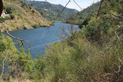 Helårsgrund i Cinfaes, Viseu, Cinfaes - € 260.000 | Ref: 927437 - foto 36