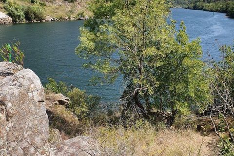 Helårsgrund i Cinfaes, Viseu, Cinfaes - € 260.000 | Ref: 927437 - foto 38