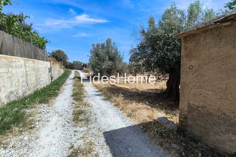 Helårsgrund i Niguelas, Granada - foto 4