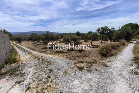 Terra a Niguelas, Granada, Niguelas - € 49.000 | Ref: 111661947 - foto 6