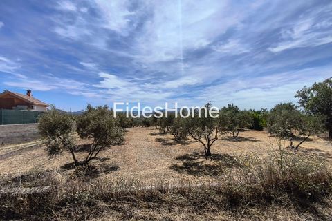 Terra a Niguelas, Granada, Niguelas - € 49.000 | Ref: 111661947 - foto 7