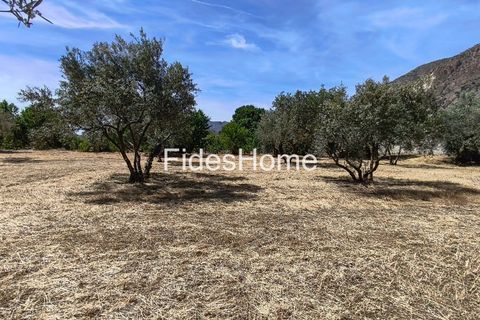 Terra a Niguelas, Granada, Niguelas - € 49.000 | Ref: 111661947 - foto 9