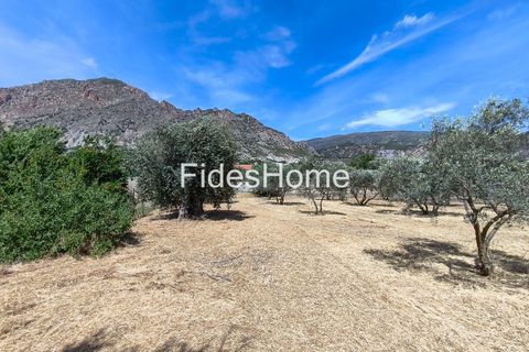 Terra a Niguelas, Granada, Niguelas - € 49.000 | Ref: 111661947 - foto 10