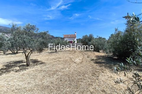 Terra a Niguelas, Granada, Niguelas - € 49.000 | Ref: 111661947 - foto 11