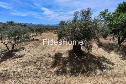 Terra a Niguelas, Granada, Niguelas - € 49.000 | Ref: 111661947 - foto 12