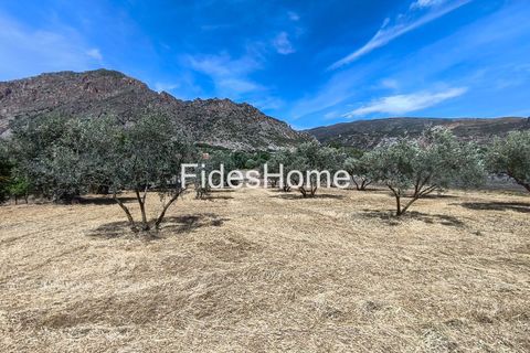 Terra a Niguelas, Granada, Niguelas - € 49.000 | Ref: 111661947 - foto 13