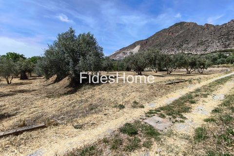 Terra a Niguelas, Granada, Niguelas - € 49.000 | Ref: 111661947 - foto 14