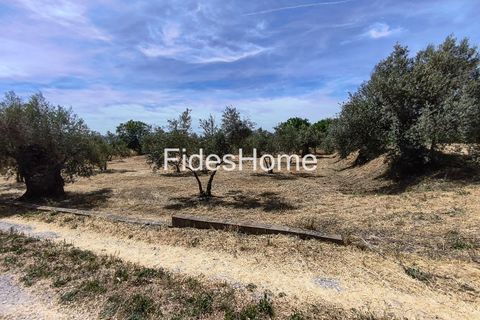 Terra a Niguelas, Granada, Niguelas - € 49.000 | Ref: 111661947 - foto 15